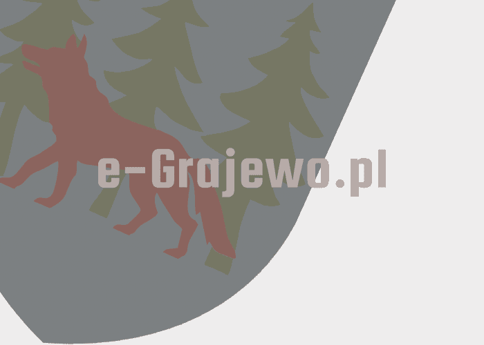 Grajewo ogłoszenia: Oddam gałęzie za sprzątnięcie - Wąsosz.